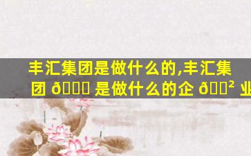 丰汇集团是做什么的,丰汇集团 🕊 是做什么的企 🌲 业